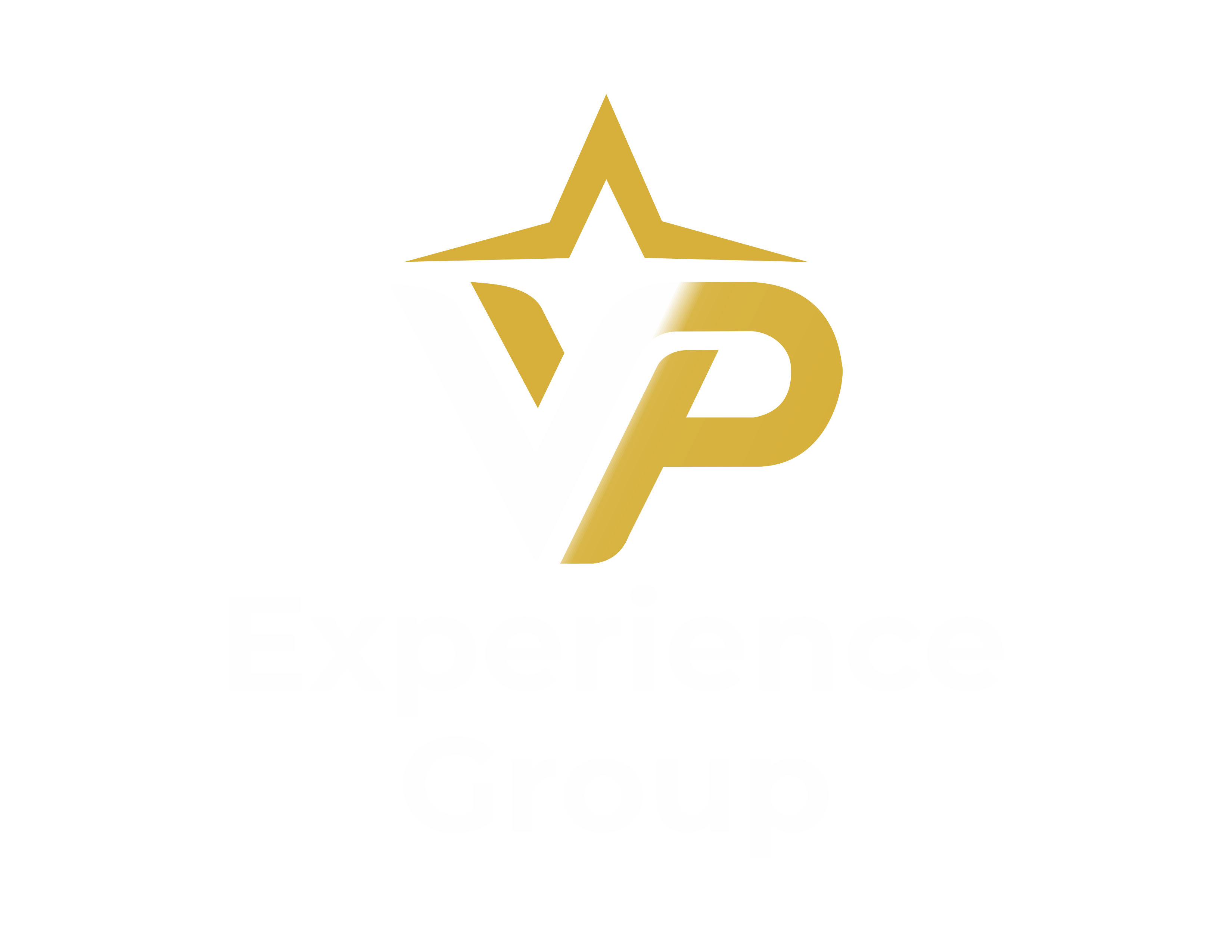 VP Logo